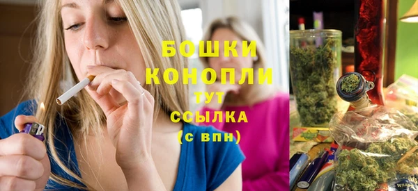 дурь Горняк