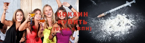 прущий лед Дмитриев