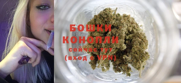 дурь Горняк