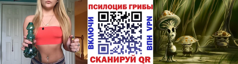 Галлюциногенные грибы Psilocybine cubensis  Купить закладки  Кудрово 