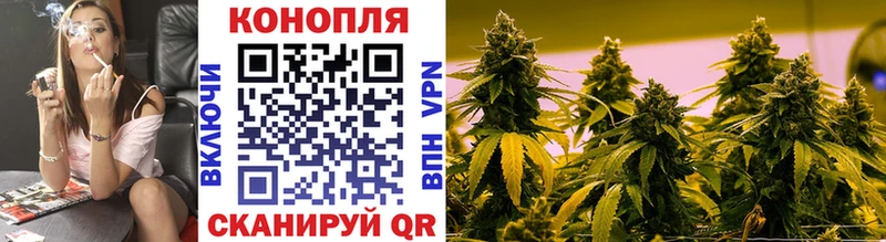Купить закладки  Кудрово  Канабис конопля 
